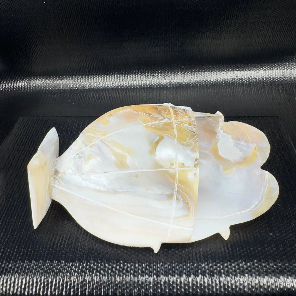 Vintage Mother of Pearl Nautalis Shell Footed Vase‎ Shiny Finish Hand Made Vase